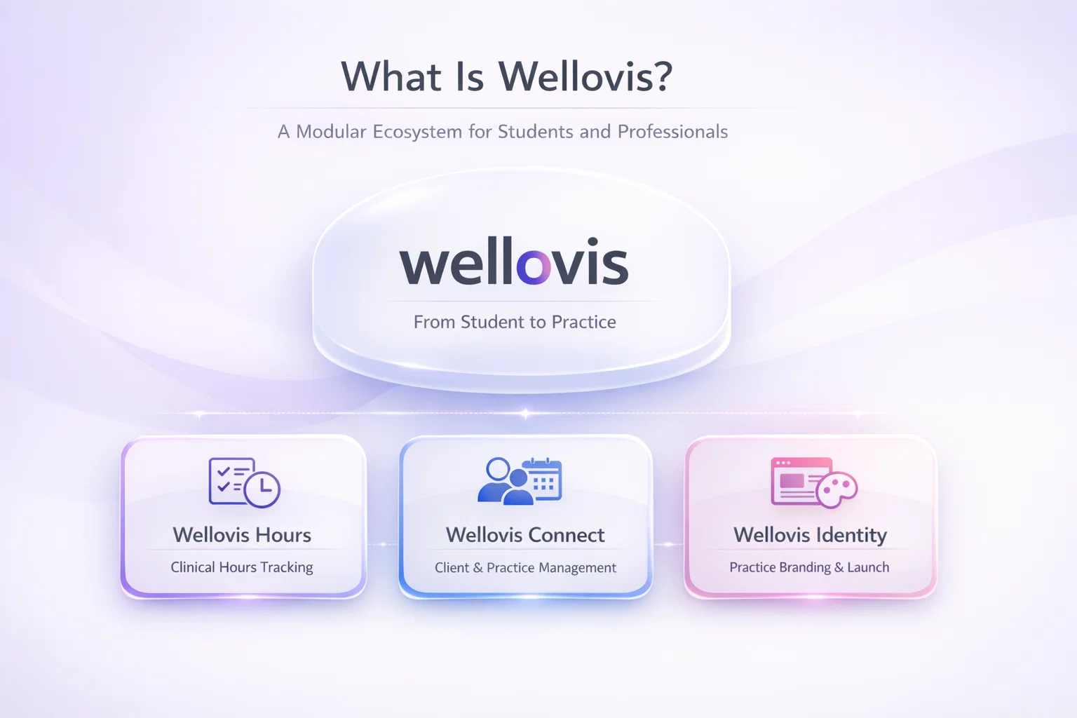 what is wellovis? a complete breakdown